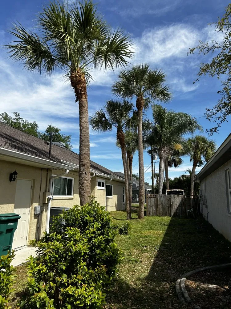 Reliable landscape design in Port Charlotte, FL - Vintina Lawn & Management