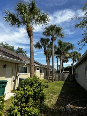 Vintina Lawn & Management Logo