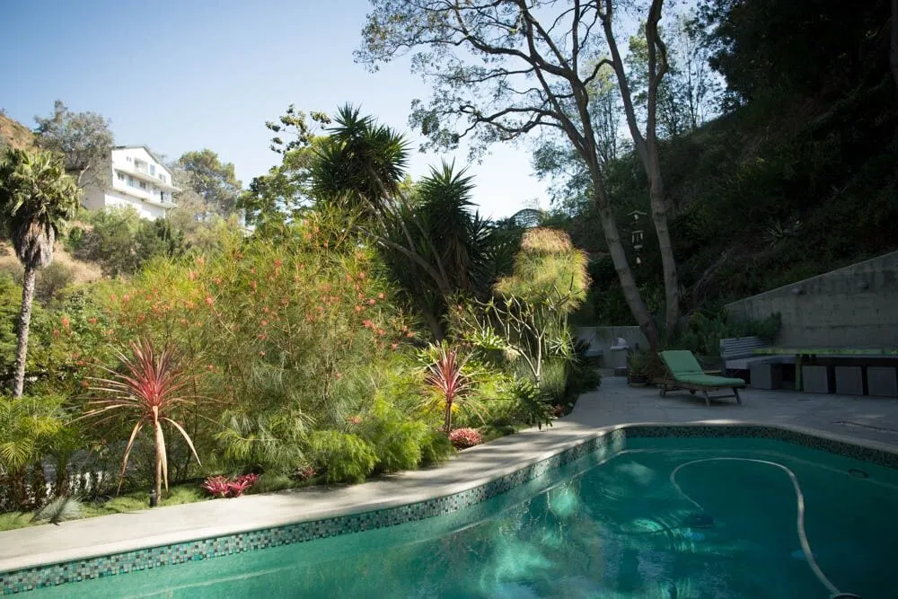Custom garden landscaping experts serving Los Angeles, CA - Viola Gardens