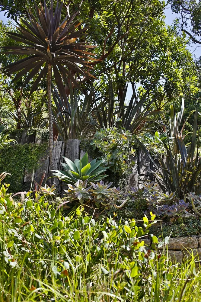 Top-rated lawn mowing service experts serving Los Angeles, CA - Viola Gardens