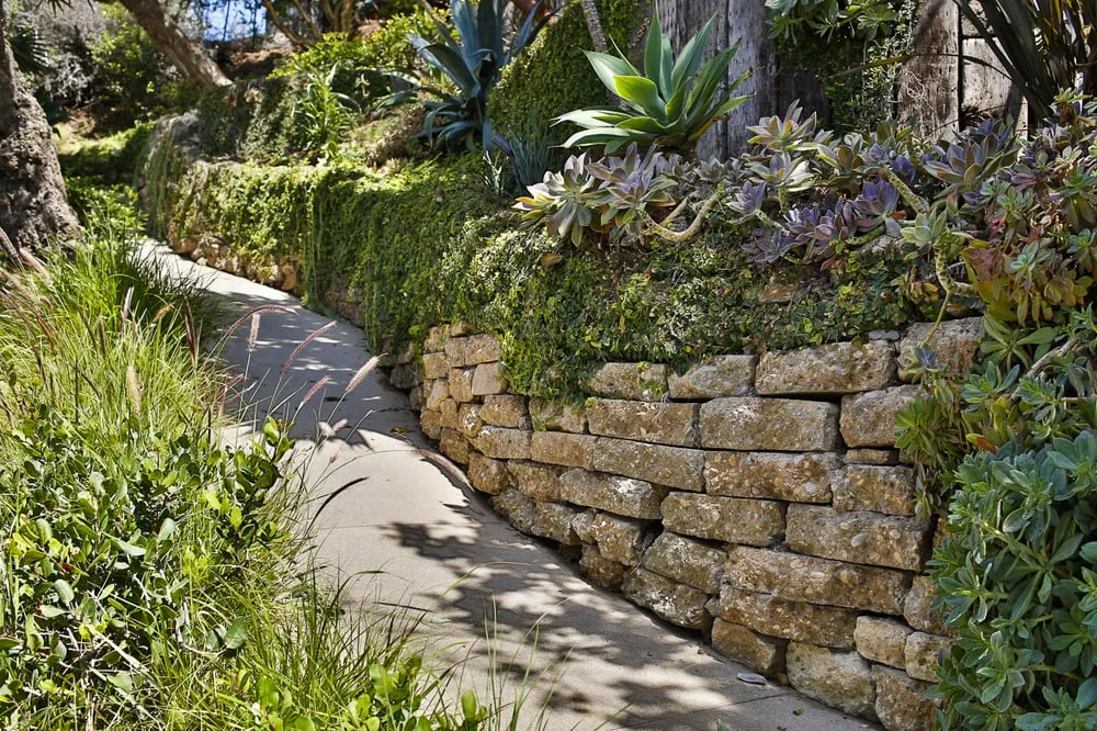 Custom yard maintenance for homes in Los Angeles, CA by Viola Gardens