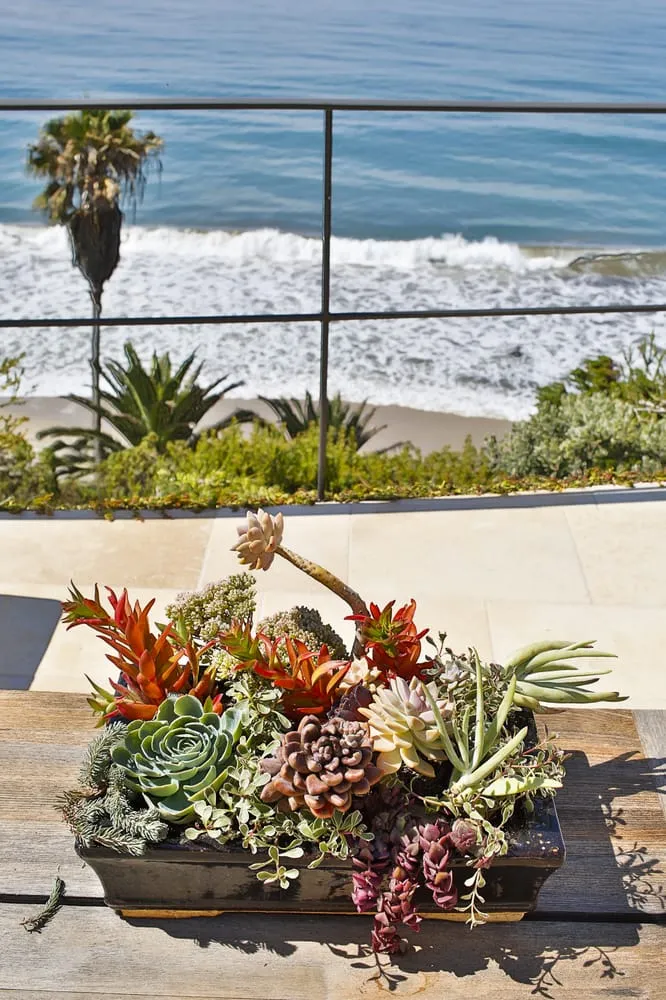 Reliable landscaping services with custom design in Los Angeles, CA by Viola Gardens