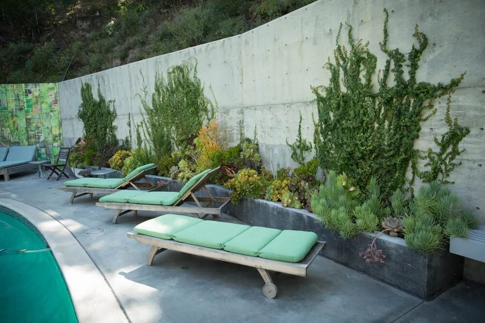 Expert lawn mowing service with custom design across Los Angeles, CA - Viola Gardens