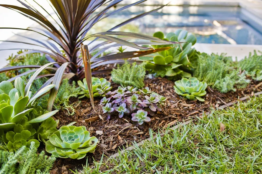 Top-rated residential landscaping for residential properties in Los Angeles, CA by Viola Gardens