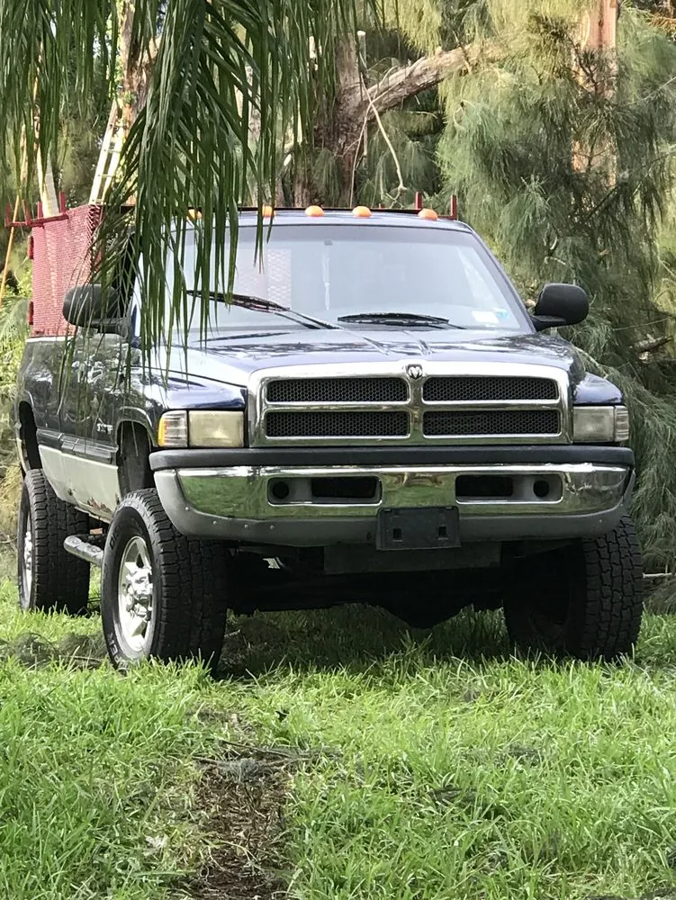 Expert landscaping services in Hollywood, FL by Violet Landscaping