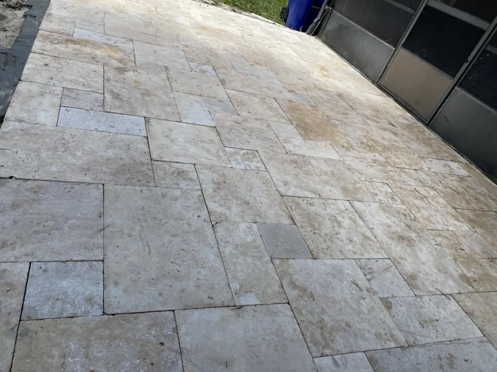 Expert yard cleanup service experts serving Hollywood, FL - Violet Landscaping