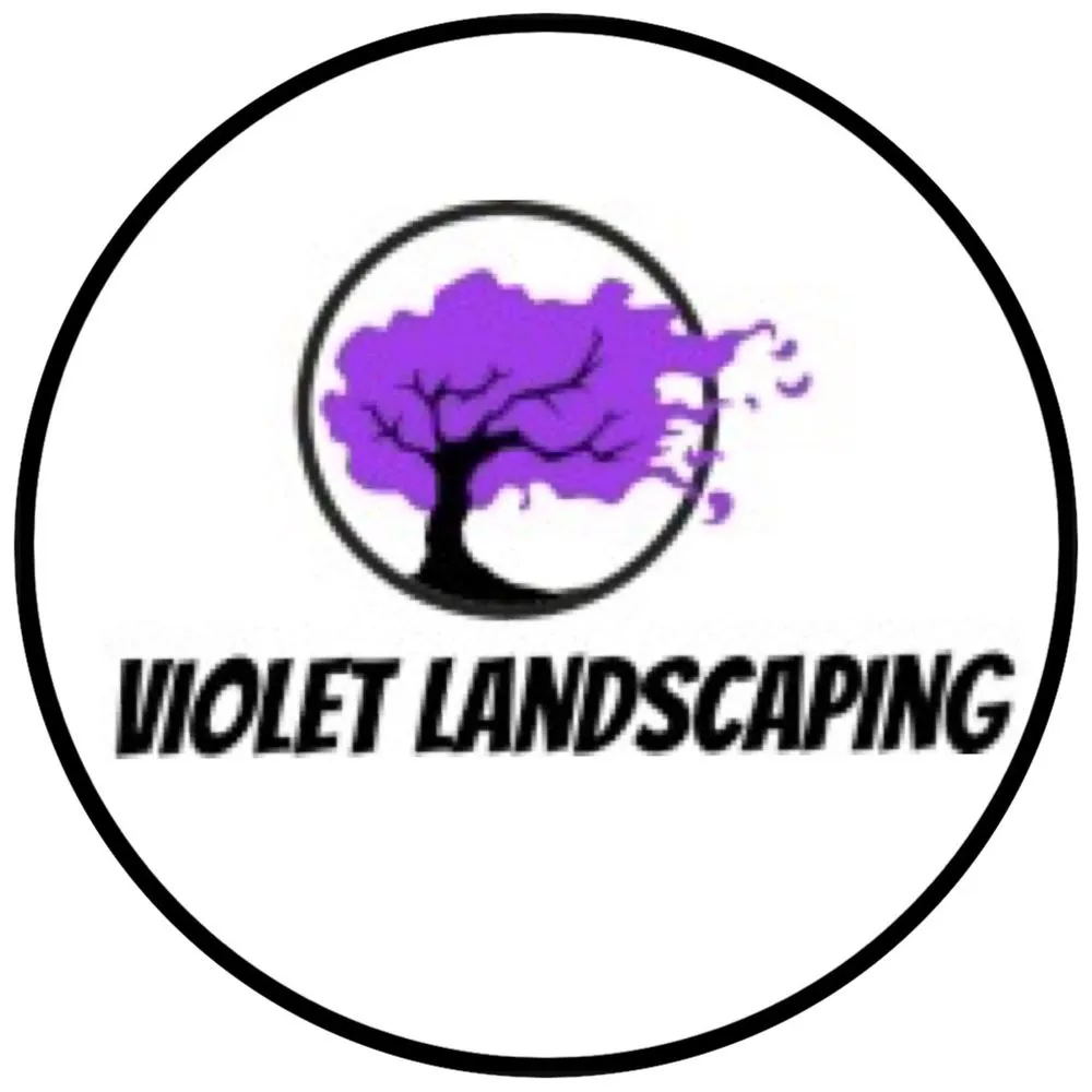 Custom yard cleanup service near you in Hollywood, FL by Violet Landscaping