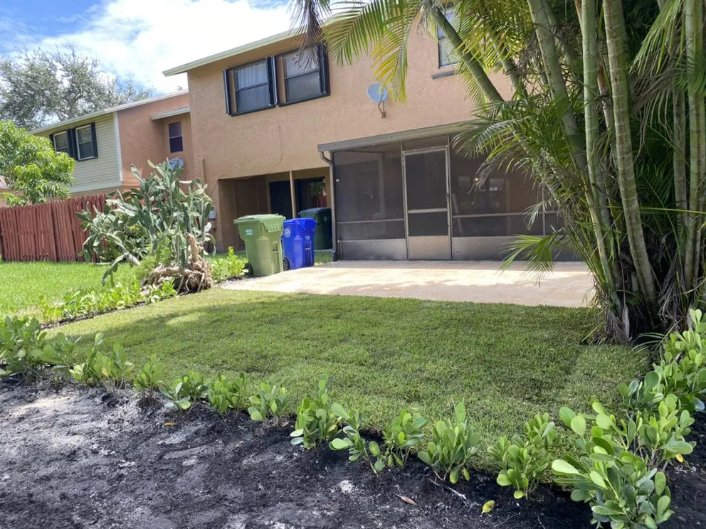 Local yard cleanup service for beautiful yards across Hollywood, FL - Violet Landscaping