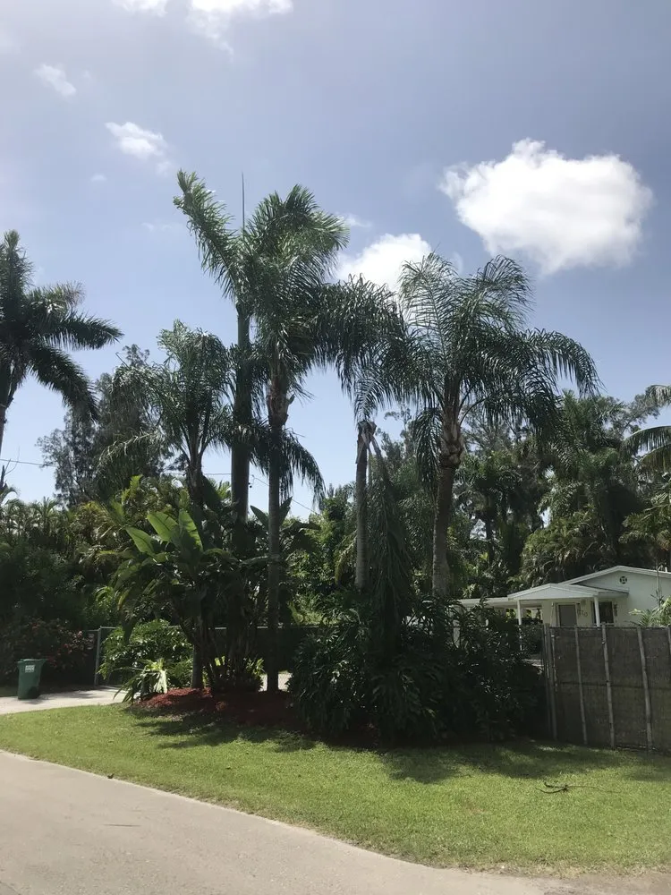 Professional lawn mowing service near you in Hollywood, FL by Violet Landscaping