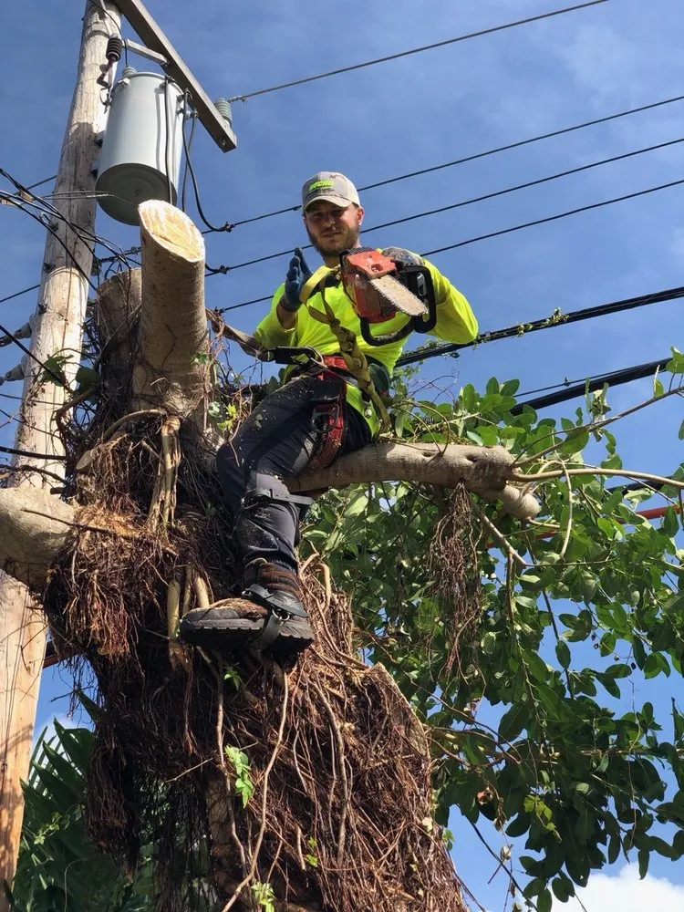 Local outdoor landscaping in Hollywood, FL - Violet Landscaping