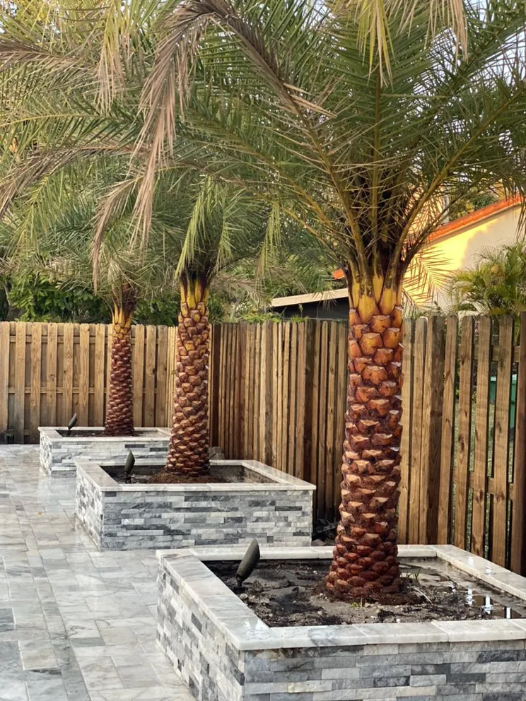 Local garden landscaping in Hollywood, FL by Violet Landscaping