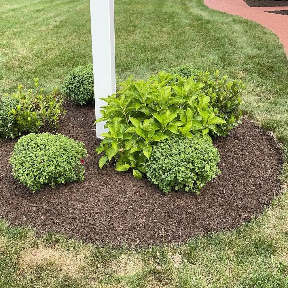 Trusted yard cleanup service in Weymouth, MA by VIP Construction & Landscaping