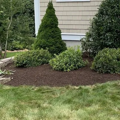 Top-rated lawn care service in Weymouth, MA - VIP Construction & Landscaping