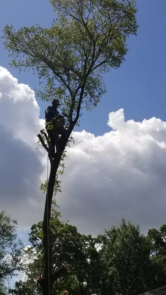 Custom lawn mowing service in Bryan, TX by VIP Enterprises Tree & Fence Experts