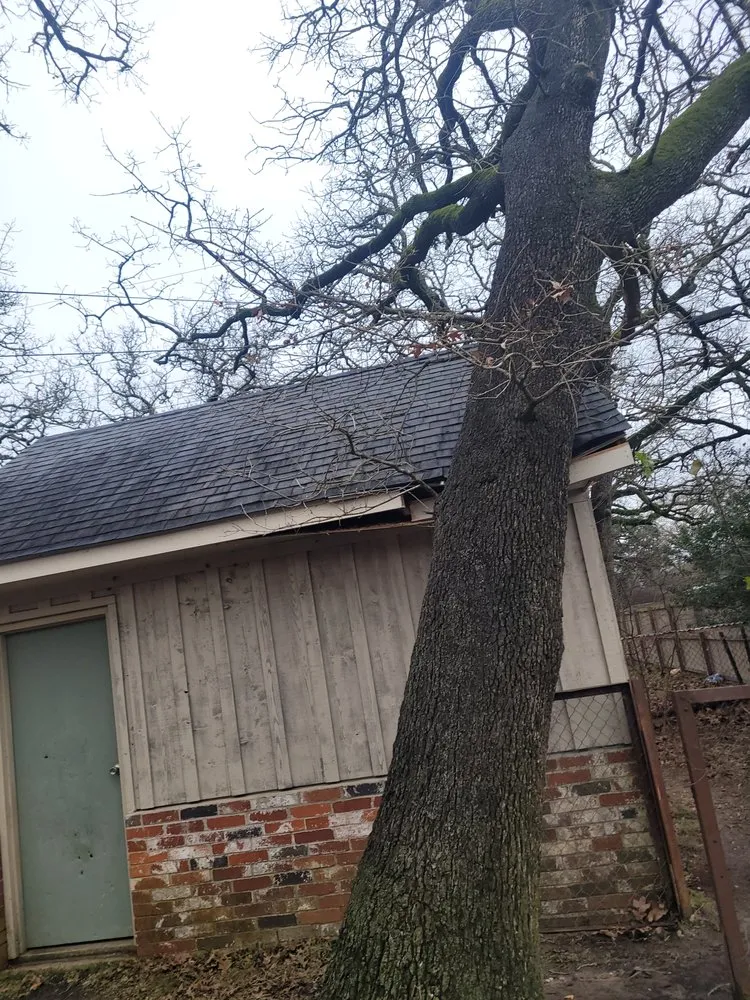 Custom landscape design in Bryan, TX by VIP Enterprises Tree & Fence Experts