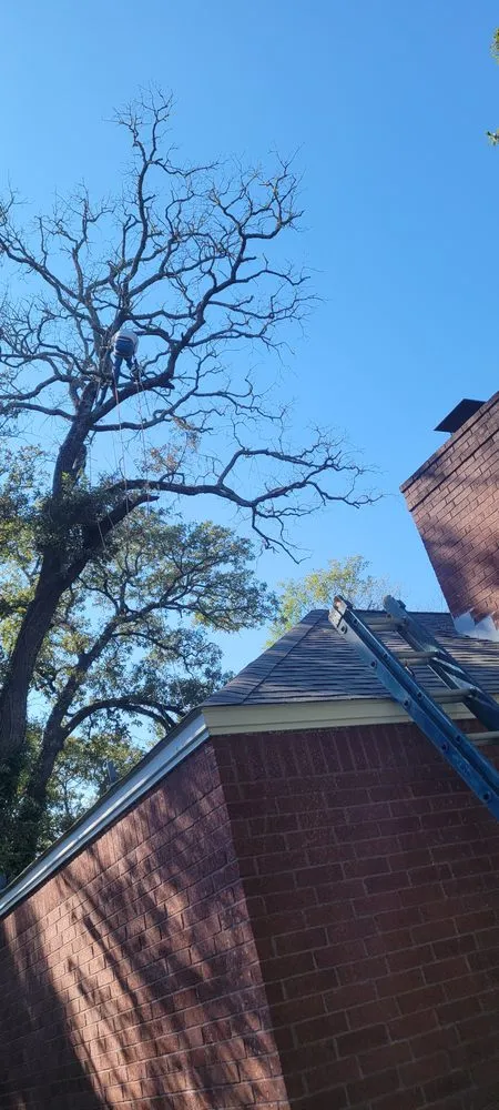 Trusted garden landscaping for beautiful yards across Bryan, TX - VIP Enterprises Tree & Fence Experts