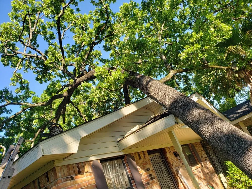 Trusted landscape design experts serving Bryan, TX - VIP Enterprises Tree & Fence Experts