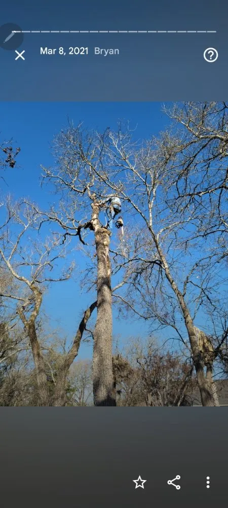 Custom landscape installation in Bryan, TX - VIP Enterprises Tree & Fence Experts