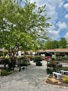 VIP Foliage & Landscapes