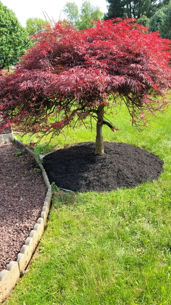 Local lawn mowing service near you in Allentown, PA by VIP Land Service