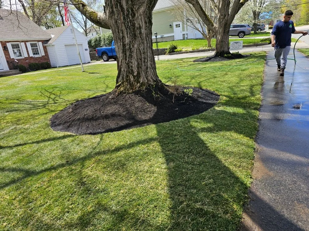 Custom residential landscaping in Medford, MA by VIP Landscaping & Remodeling