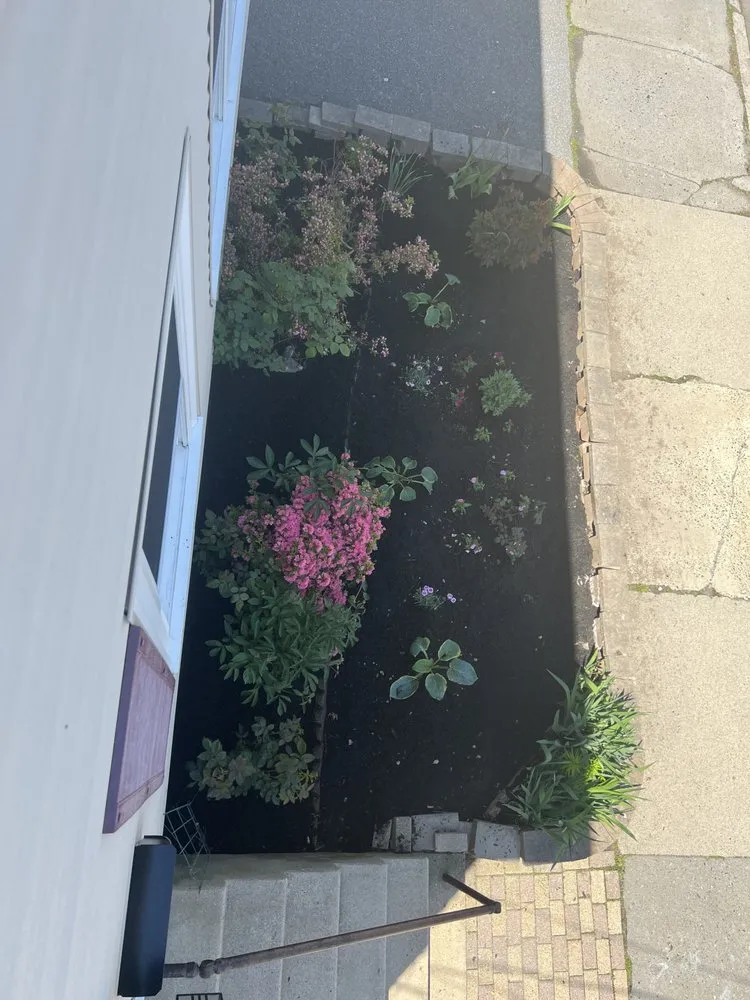 Top-rated residential landscaping experts serving Medford, MA - VIP Landscaping & Remodeling