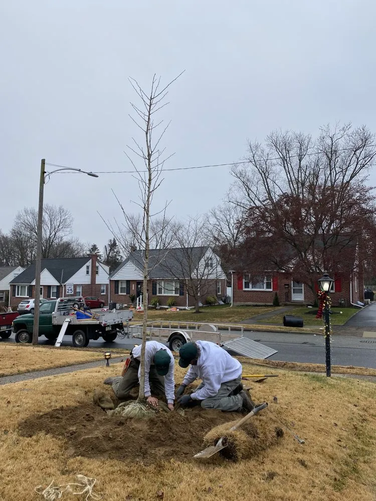 Custom lawn care service for outdoor upgrades in Havertown, PA by VIP Landscaping
