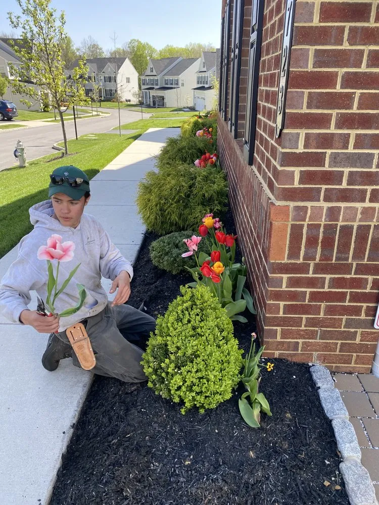 Reliable residential landscaping for outdoor upgrades across Havertown, PA - VIP Landscaping