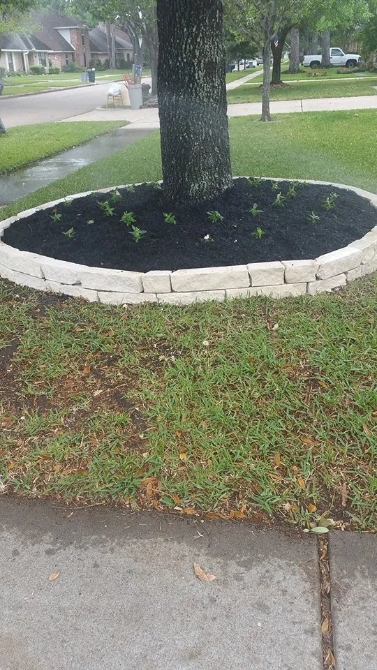 Local yard cleanup service in Sugar Land, TX by VIP Landscaping