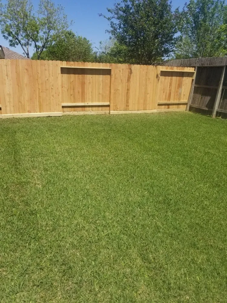 Professional residential landscaping near you in Sugar Land, TX by VIP Landscaping