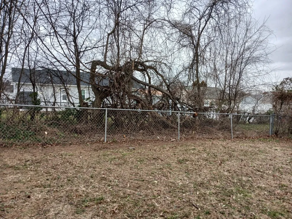 Reliable lawn mowing service for residential properties across Clarksville, TN - VIP Lawn Care