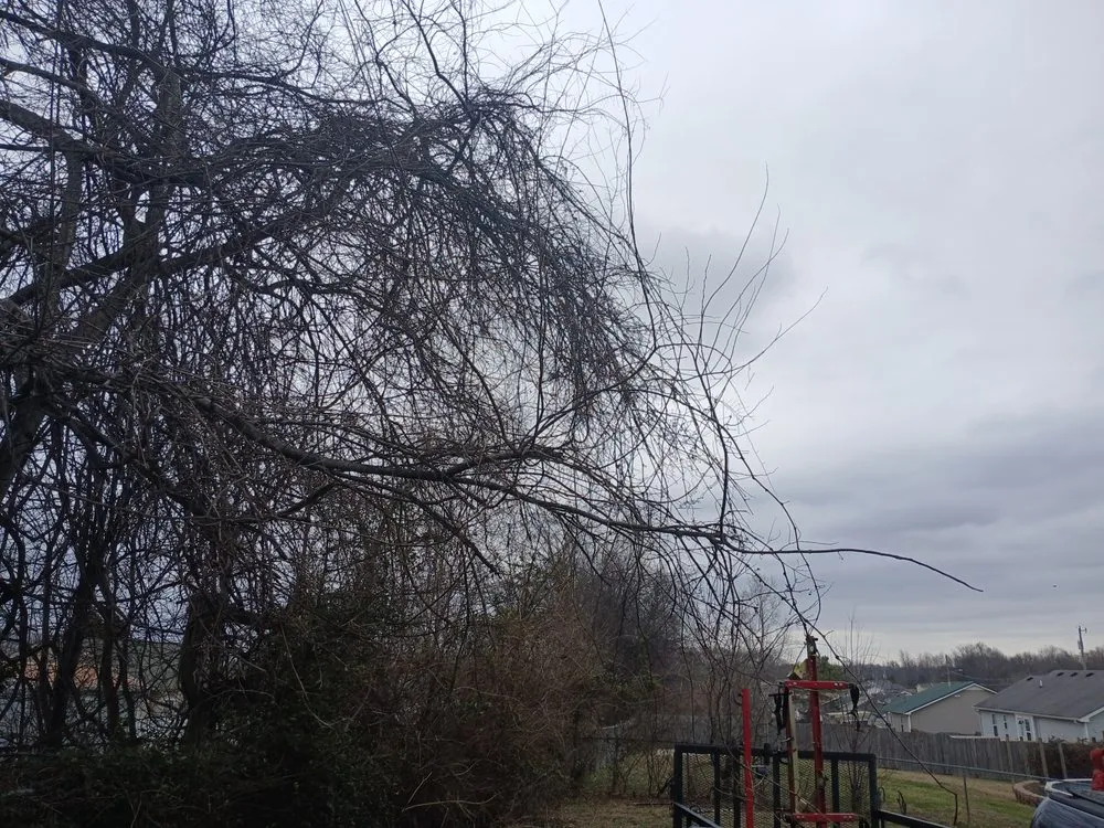 Professional landscape design experts serving Clarksville, TN - VIP Lawn Care