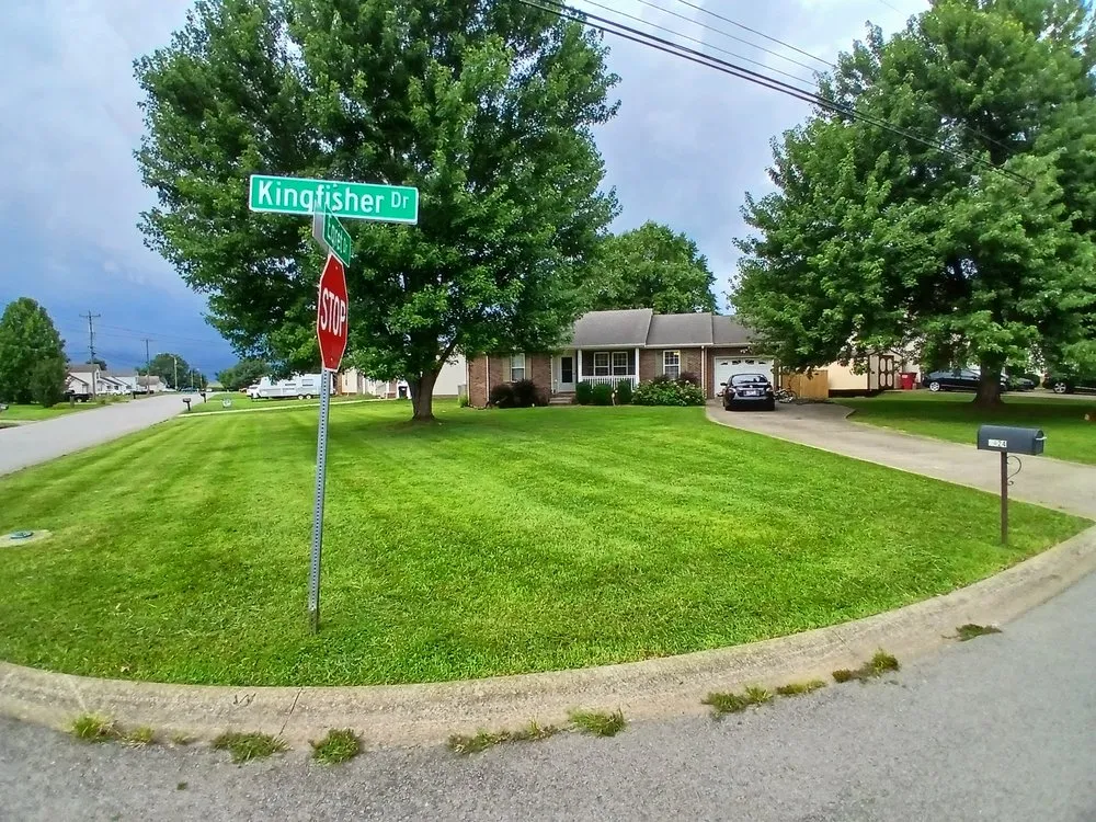 Local yard cleanup service in Clarksville, TN - VIP Lawn Care