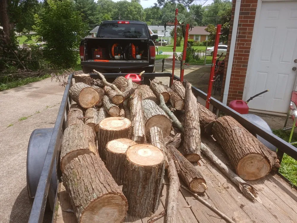 Trusted landscaping services for year-round maintenance across Clarksville, TN - VIP Lawn Care