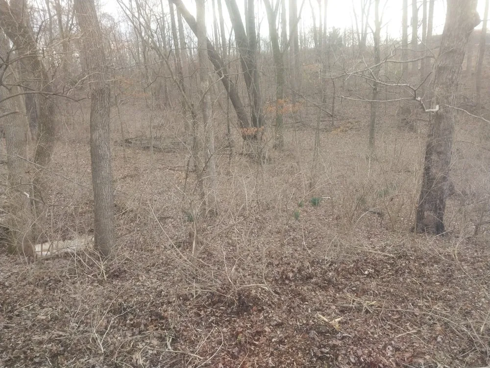 Affordable lawn care service with custom design across Clarksville, TN - VIP Lawn Care