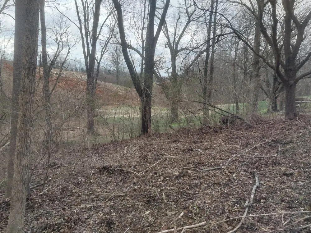 Professional lawn care service experts serving Clarksville, TN - VIP Lawn Care