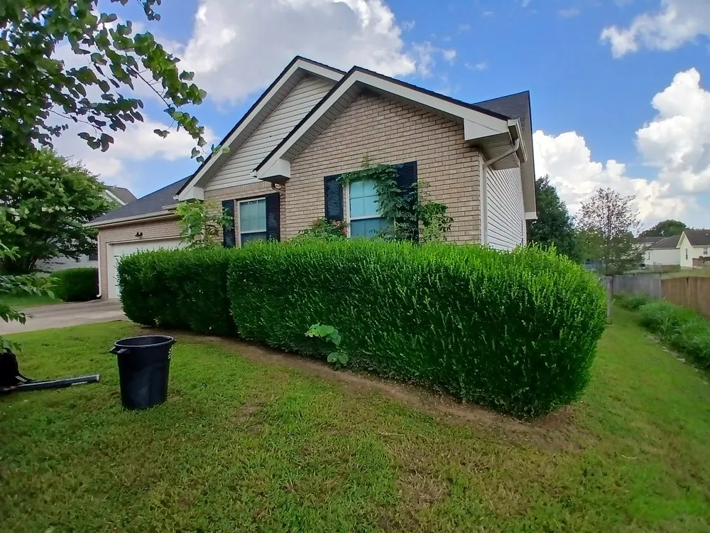 Affordable landscape design in Clarksville, TN by VIP Lawn Care