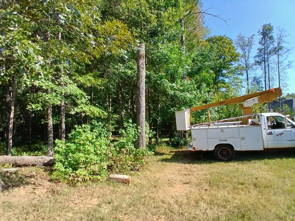 Custom residential landscaping in Clarksville, TN - VIP Lawn Care