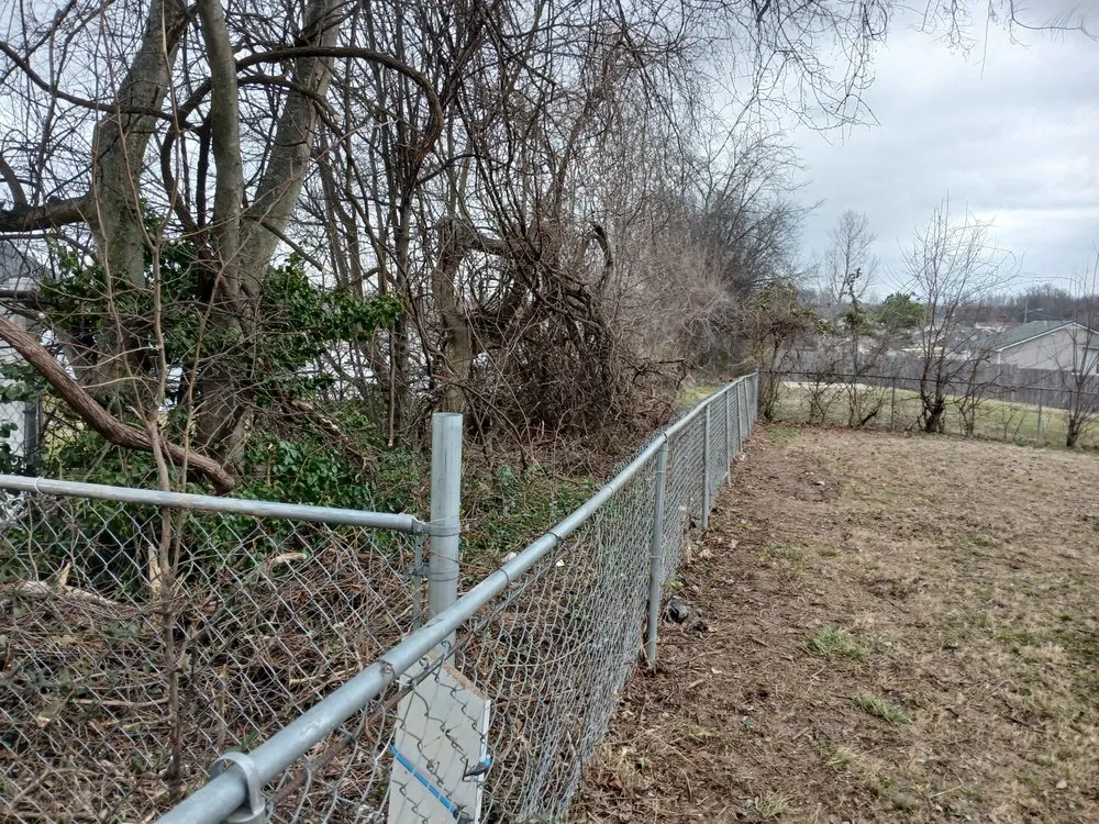 Affordable landscape installation in Clarksville, TN by VIP Lawn Care