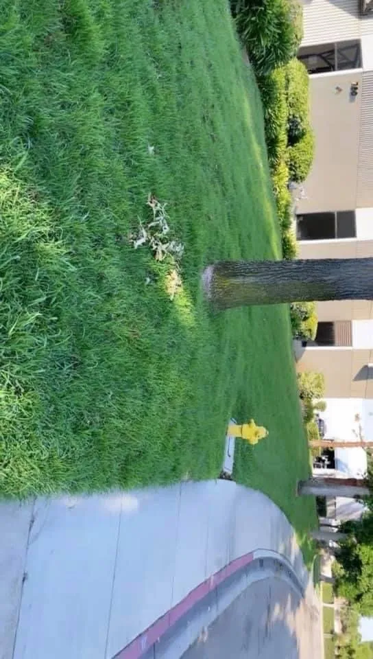 Affordable garden landscaping experts serving Victorville, CA - ViP Lawn Care