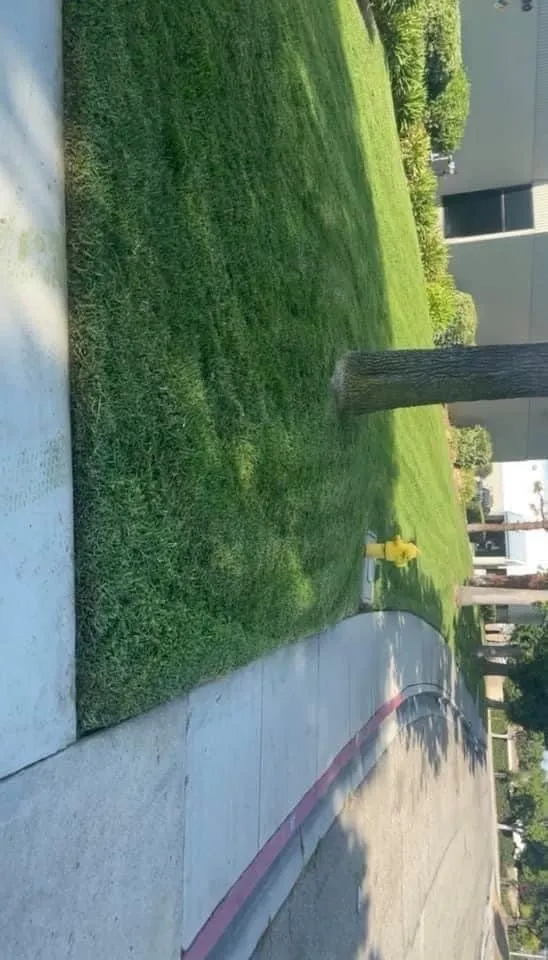 Expert lawn mowing service in Victorville, CA - ViP Lawn Care