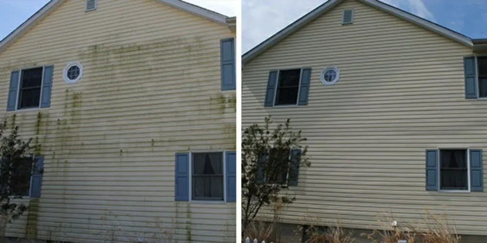 Trusted landscaping services in Wichita, KS - VIP LAWN CARE