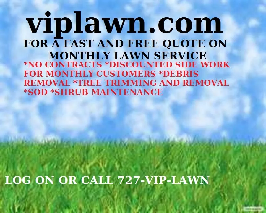 Trusted landscaping services in Tampa Bay, FL by Vip Lawn Service