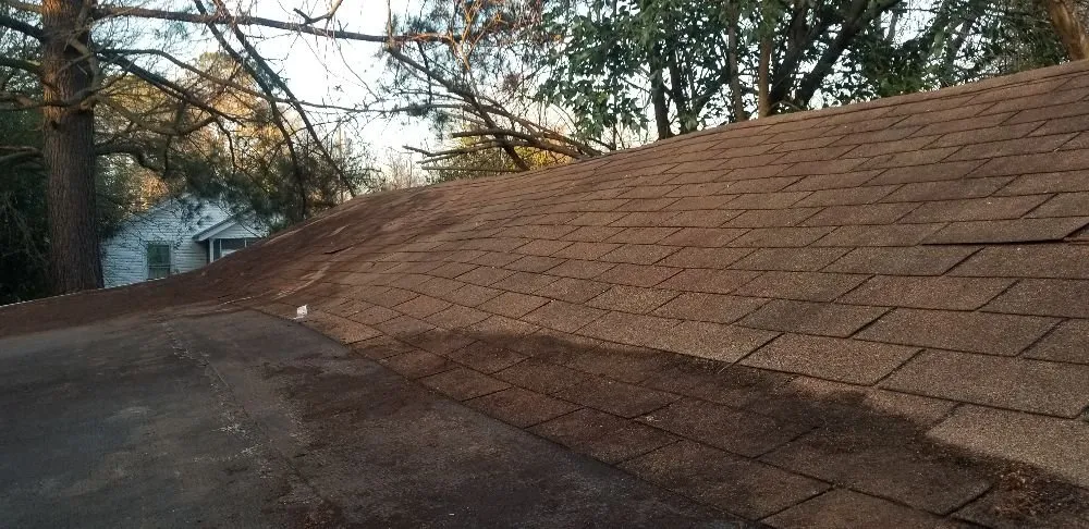 Professional yard maintenance experts serving Portsmouth, VA - VIP Lawns