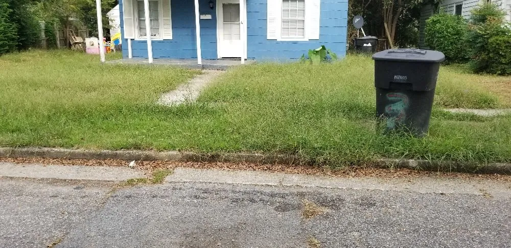 Top-rated residential landscaping for year-round maintenance in Portsmouth, VA by VIP Lawns