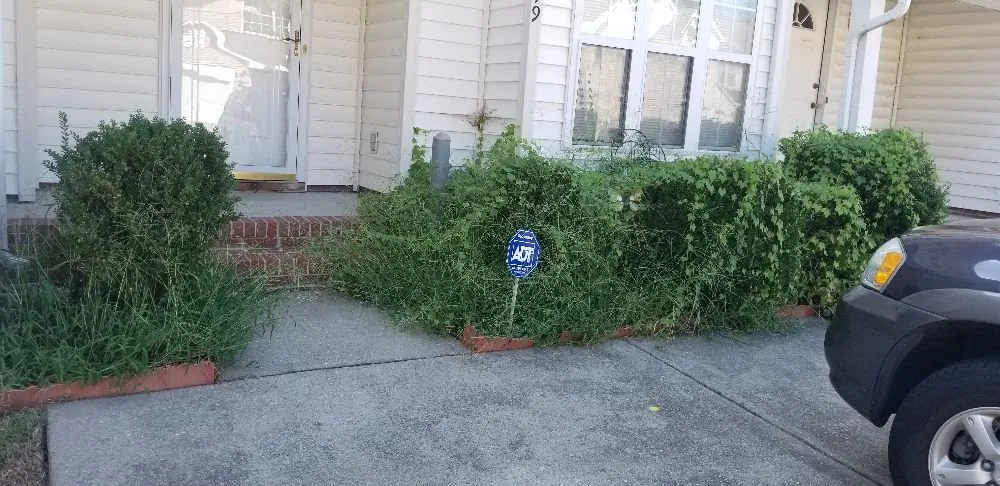 Top-rated residential landscaping for beautiful yards across Portsmouth, VA - VIP Lawns