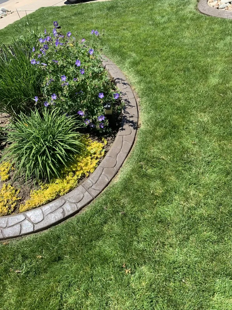 Affordable landscaping services for outdoor upgrades in Aurora, CO by VIP Reseals