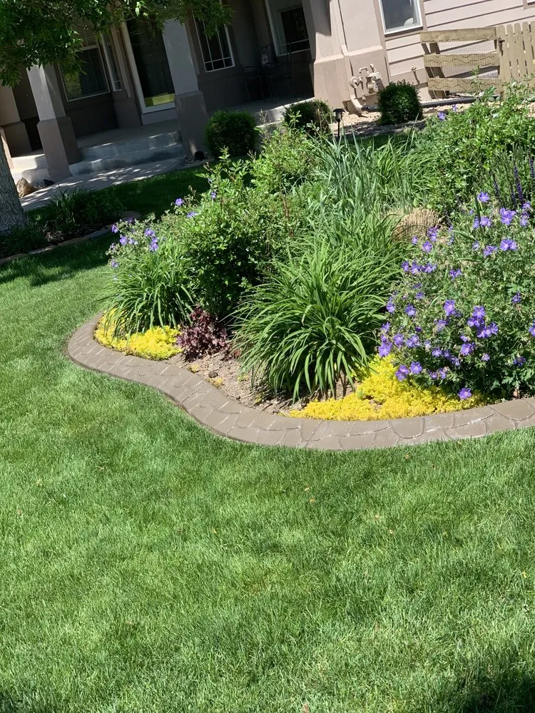 Affordable lawn care service for homes across Aurora, CO - VIP Reseals