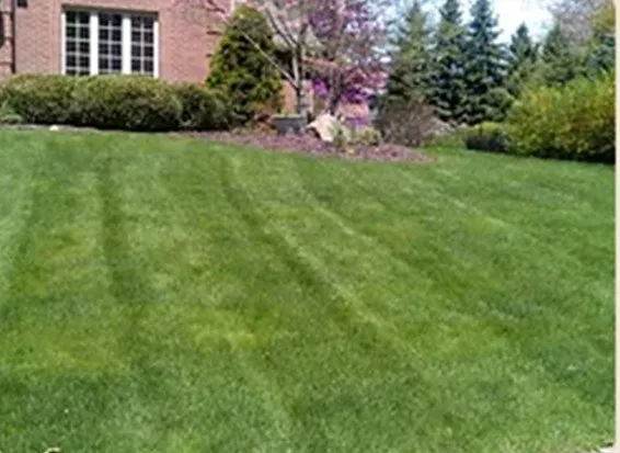 Affordable garden landscaping experts serving Pittsburgh, PA - VIP Turf Care