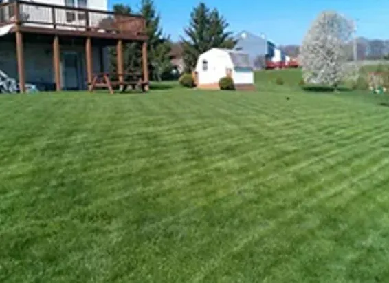 Trusted outdoor landscaping in Pittsburgh, PA - VIP Turf Care